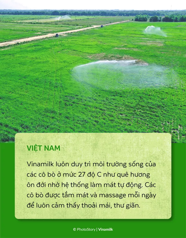 “Chu du” vòng quanh những trang trại bò sữa trên thế giới - Ảnh 7.