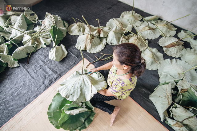 Cử nhân báo chí khởi nghiệp trà sen với 20 triệu mẹ dành mua xe máy: Con không thích đi làm, con muốn về nhà - Ảnh 3.