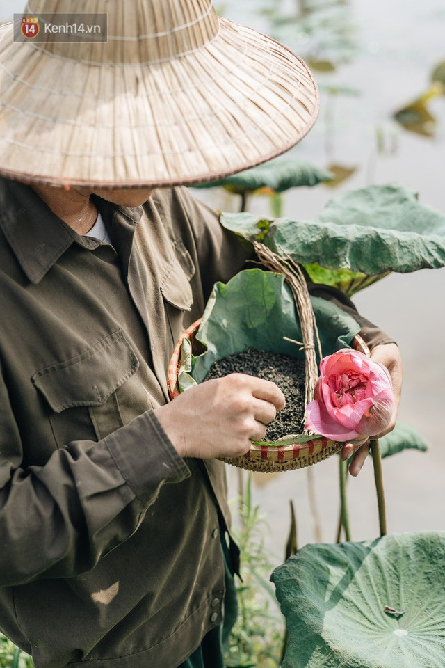 Cử nhân báo chí khởi nghiệp trà sen với 20 triệu mẹ dành mua xe máy: Con không thích đi làm, con muốn về nhà - Ảnh 17.